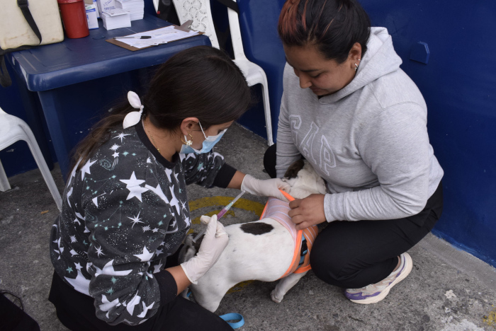 Vacunación en niños